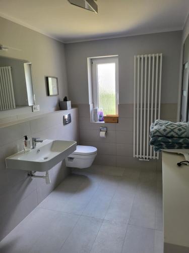 a bathroom with a sink and a toilet and a window at Nr.11 Apartamenty 