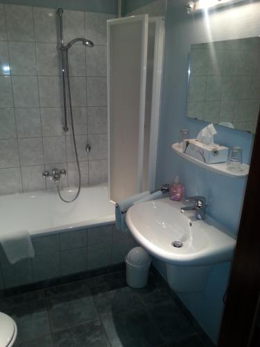 a bathroom with a sink and a shower and a toilet at Landhotel Wilhelm Busch in Lüthorst