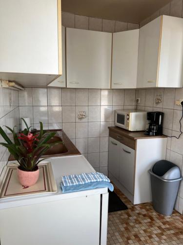 a kitchen with white cabinets and a plant on the counter at Maison les pieds dans l'eau in Quinéville