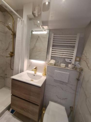 une salle de bain avec un lavabo, des toilettes et un miroir dans l'établissement Très beau studio au pied du métro, à Vincennes