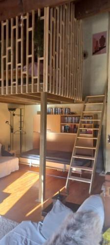 a room with a bunk bed and a book shelf at Vakantiehuis “Le Verbe” in de Drôme Provençale in Le Poët-Laval
