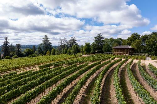 a vineyard with a gazebo in the middle of a field at Valverde Santar Hotel & SPA - Relais & Châteaux in Santar