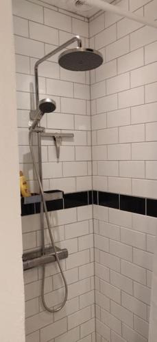 a shower with a shower head in a bathroom at Fuglsanggaard Stalden in Præstø