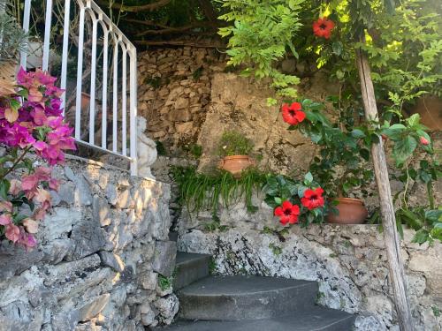 Giardino di Palatonella