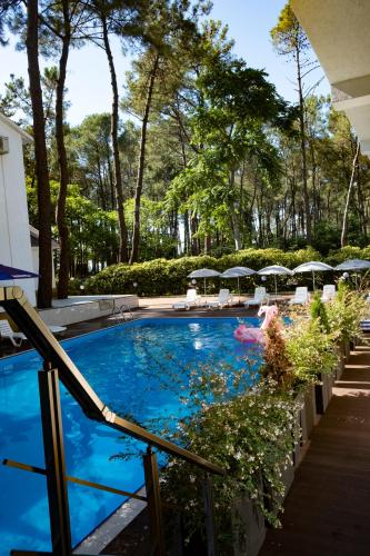 Kolam renang di atau dekat dengan Buxus Villas Shekvetili