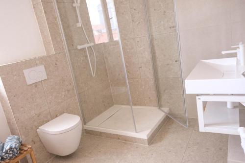 uma casa de banho com um chuveiro, um WC e um lavatório. em Bantle Pension Gästehaus Ravensburg em Ravensburg