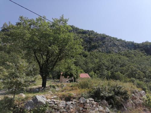 a house on the side of a hill with a tree at Apartmani Perosevic in Danilovgrad