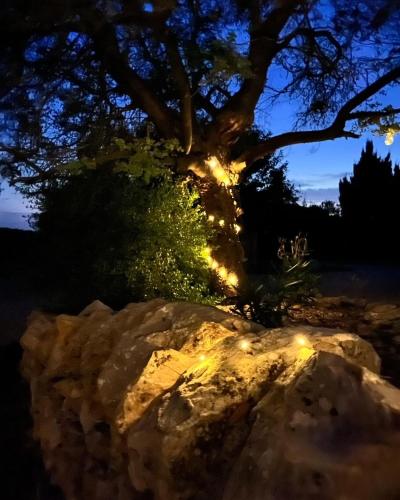 a tree with lights in front of a rock at Gîte La Borie in Fons