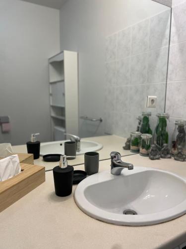 un comptoir de salle de bain avec un lavabo et un miroir dans l'établissement Appartement calme au cœur de la ville, à Lons-le-Saunier