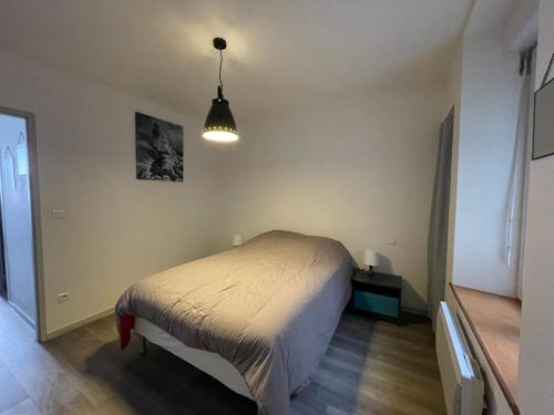 - une chambre avec un lit et une lampe pendant dans l'établissement Appartement calme au cœur de la ville, à Lons-le-Saunier