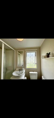 baño con lavabo y aseo y ventana en Tarka Holiday Park, en Ashford