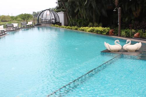The swimming pool at or close to Fenicia Riverside Resort
