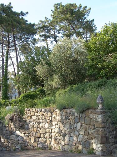 a stone wall with trees in the background at Luxury Easy Living in Framura in Framura