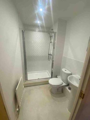 e bagno con doccia, servizi igienici e lavandino. di Colchester Smart Two Bed Apartment a Colchester