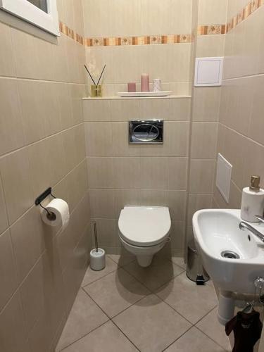 a bathroom with a toilet and a sink at Byt 3+1 s dvěmi kuchyňmi in Prague