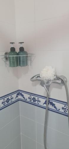 een douche met een slang in de badkamer bij Marvic Llanes in Posada de Llanes
