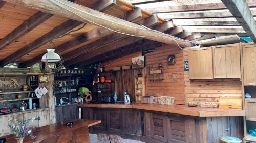 cocina con armarios de madera y encimera en una habitación en Rosa en Teliucu Inferior