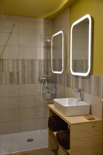 een badkamer met een wastafel en een douche bij les gîtes du passage: le perchoir in Passenans