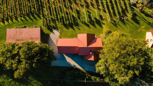 an aerial view of a house in a field with trees at Villa VINEYARD in Velika Nedelja