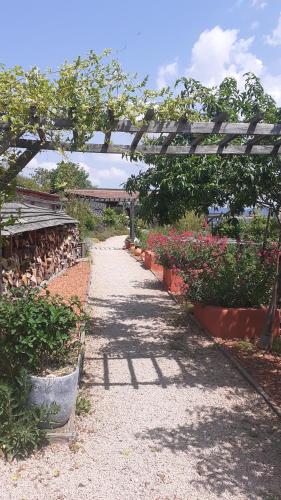 La Maison du Potager – Photos 4