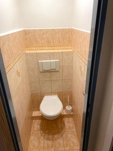 a small bathroom with a toilet in a room at Hotel U Ševce in Zlín