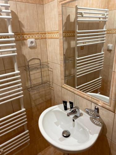 a bathroom with a sink and a mirror at Hotel U Ševce in Zlín