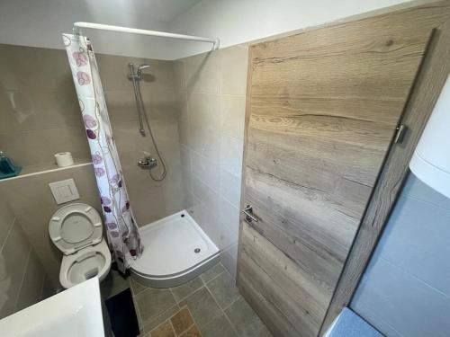 ein kleines Bad mit einem WC und einer Dusche in der Unterkunft ABC Apartma Kočevsko in Kočevje