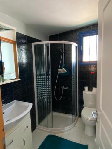 a bathroom with a shower and a toilet and a sink at Tiny Big House in Fanari