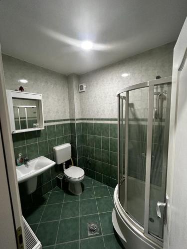 a green tiled bathroom with a toilet and a shower at Apartmani Helda in Vlasic