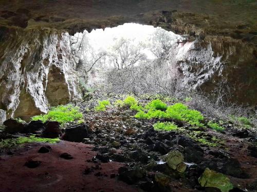 a cave filled with rocks and green plants at Andronike's Villa in Sami