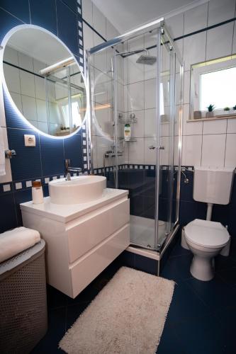 a bathroom with a sink and a shower and a toilet at Villa Musulin in Metković