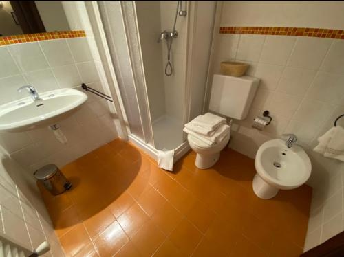 a bathroom with a sink and a toilet and a shower at Chambres D'Hotes de Montagne in Pré-Saint-Didier