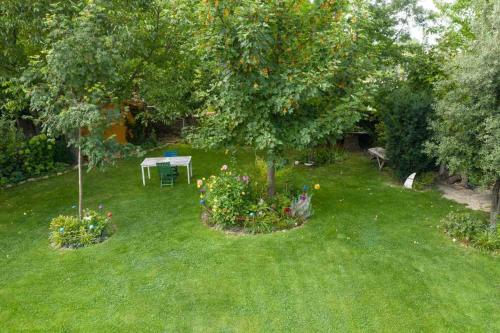 a garden with a picnic table and a tree at Casapirineos Apartamentos in Ulle