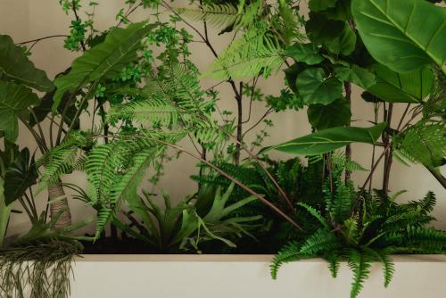 a bunch of green plants on a wall at Enso District Hotel in Knokke-Heist