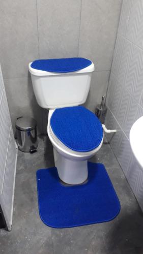 a toilet with a blue lid sitting on a blue rug at Hostal Queens Deluxe in Florencia