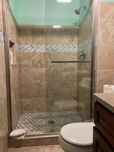 a bathroom with a shower with a toilet at Malden rooms in Malden