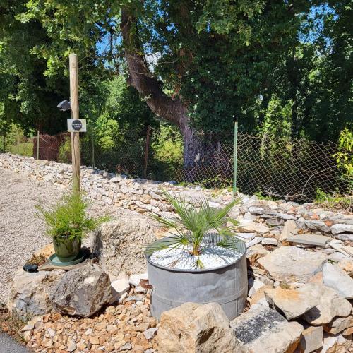 a garden with two potted plants in a barrel at Les Pierres de Cézaire in Saint-Cézaire-sur-Siagne