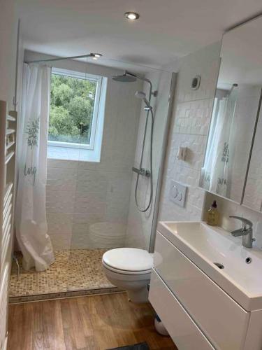 une salle de bain avec toilettes, douche et lavabo dans l'établissement La Petite Place Lille St Maurice, à Lille