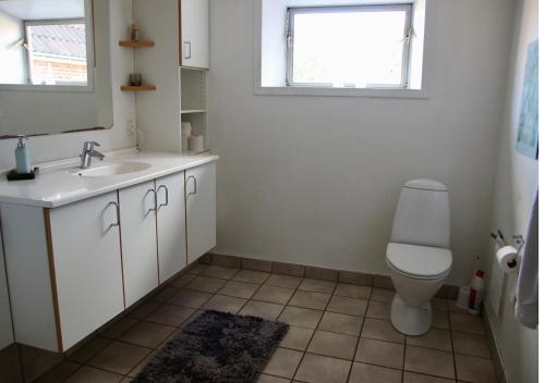 uma casa de banho com um lavatório, um WC e uma janela. em Den gamle stald em Ovtrup