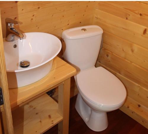 Łazienka z białą toaletą i umywalką w obiekcie Alpengasthof Enzian GmbH w mieście Mönichkirchen