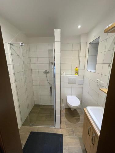 La salle de bains est pourvue d'une douche, de toilettes et d'un lavabo. dans l'établissement Ubytování u Kolóška, à Pístovice