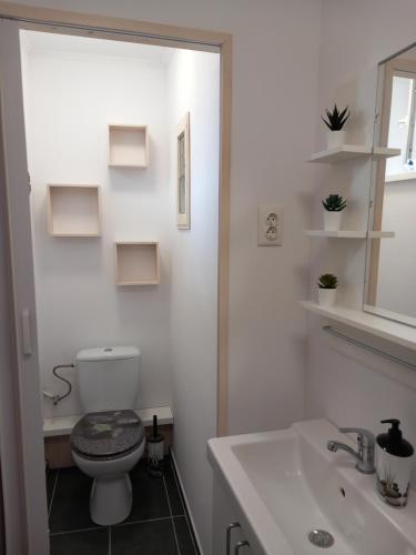 考波什堡的住宿－Zárda utcai Apartman，白色的浴室设有卫生间和水槽。