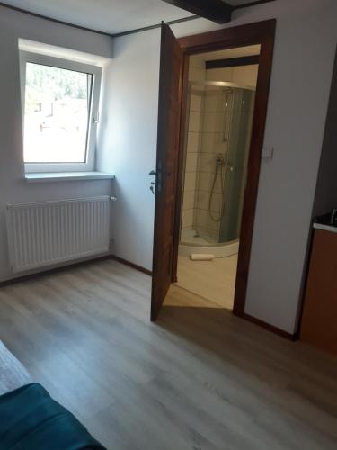 a room with a bathroom with a shower and a mirror at Apartamenty pod Kicarzem in Piwniczna-Zdrój