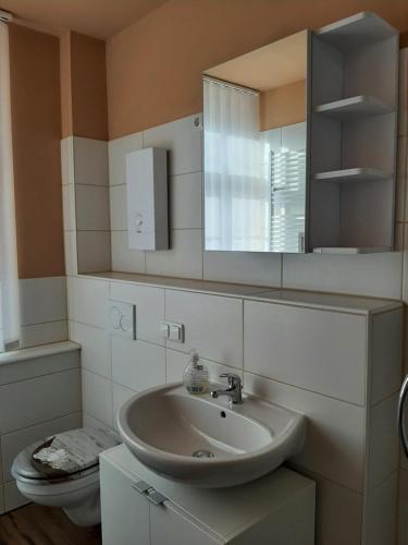 格爾利茨的住宿－Jaekels Ferienwohnung，一间带水槽和卫生间的浴室