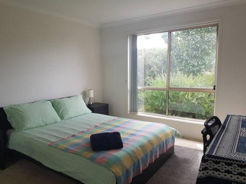 Entire 2BR sunny house @Franklin, Canberra في كانبرا: غرفة نوم بسرير ونافذة كبيرة