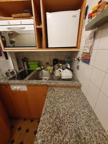 a kitchen with a sink and a counter top at Zimmer in einer privaten Wohnung in Schaffhausen