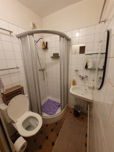 a bathroom with a shower and a toilet and a sink at Zimmer in einer privaten Wohnung in Schaffhausen