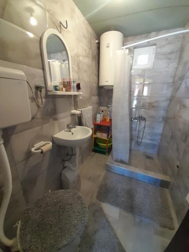 Tina apartman في باغينا باستا: حمام مع دش ومغسلة