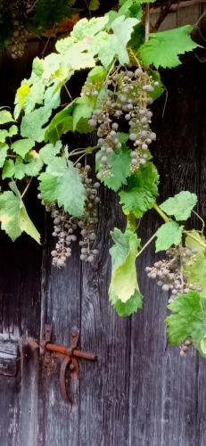 Photo de la galerie de l'établissement Le Chalet du Coin, à Videix