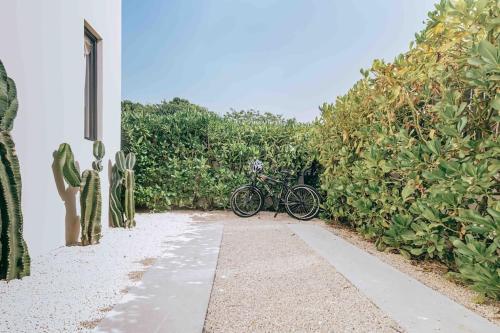 a bike parked on a path next to a hedge at Peaceful Villa W Ocean View Rooftop in Punta Sur in Isla Mujeres